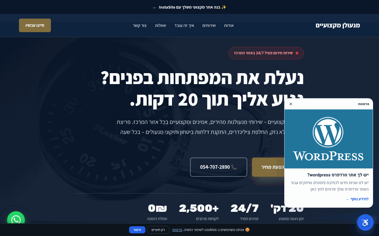 מנעולן מקצועיים
